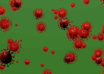 Maymun Çiçeği Virüsü Hastalığı (Monkeypox)