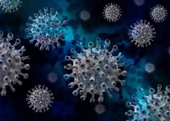 Monkeypox (Maymun Çiçeği) Hastalığı