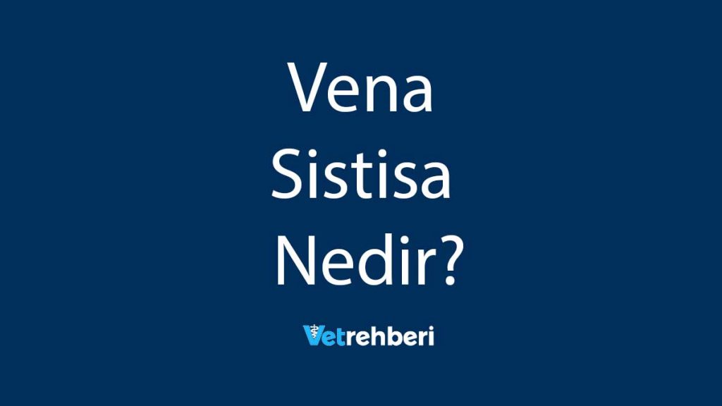 Vena Sistisa Nedir?