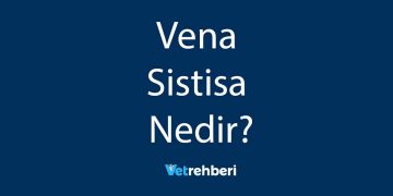 Vena Sistisa Nedir?