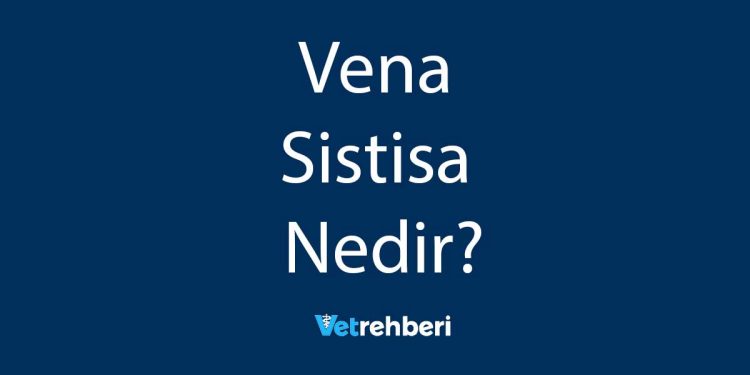 Vena Sistisa Nedir?