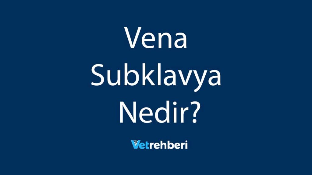 Vena Subklavya Nedir?