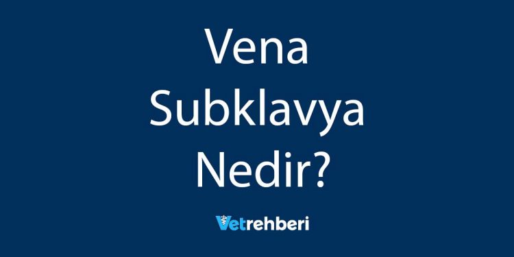 Vena Subklavya Nedir?