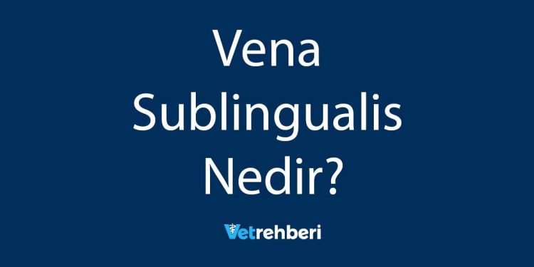 Vena Sublingualis Nedir?