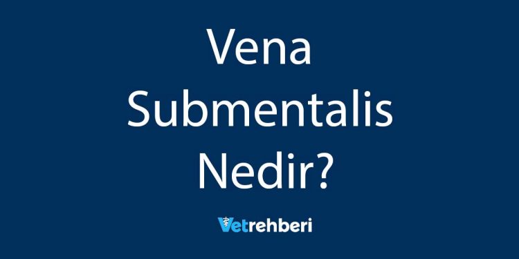 Vena Submentalis Nedir?