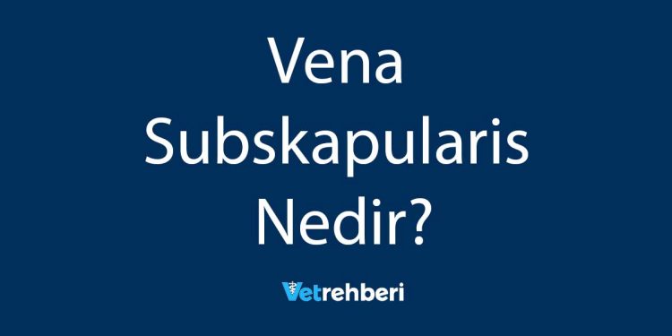 Vena Subskapularis Nedir?