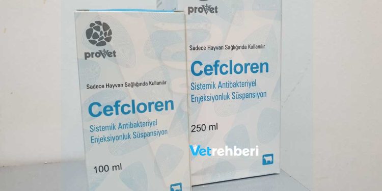 Cefcloren