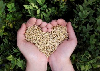 Gıdalarımızda Yaşanan Sorunlar