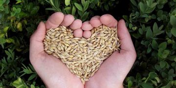 Gıdalarımızda Yaşanan Sorunlar