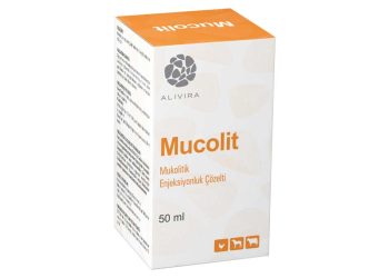 Mucolit