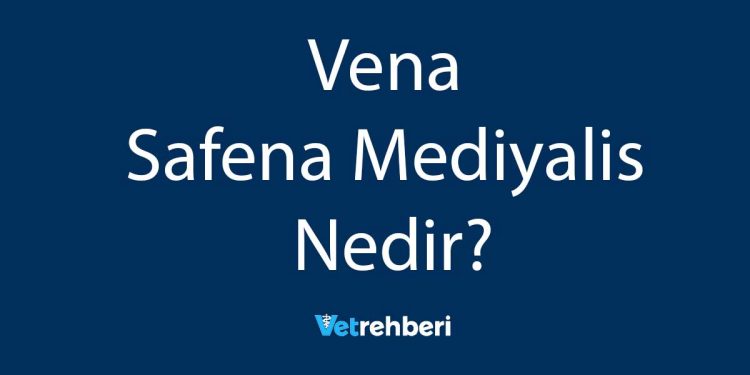 Vena Safena Mediyalis Nedir?