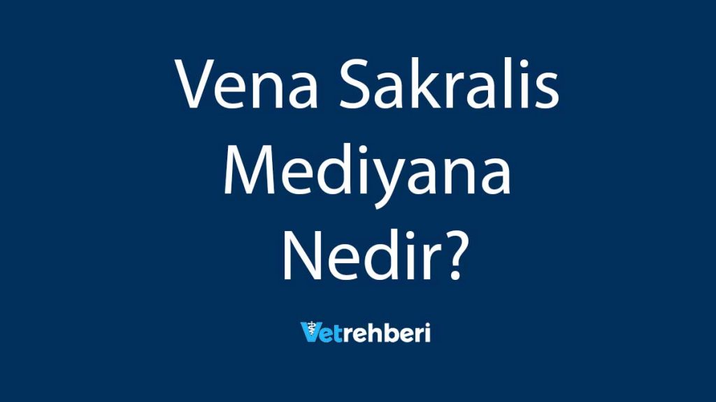 Vena Sakralis Mediyana Nedir?