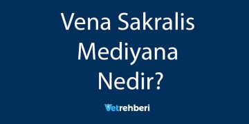 Vena Sakralis Mediyana Nedir?