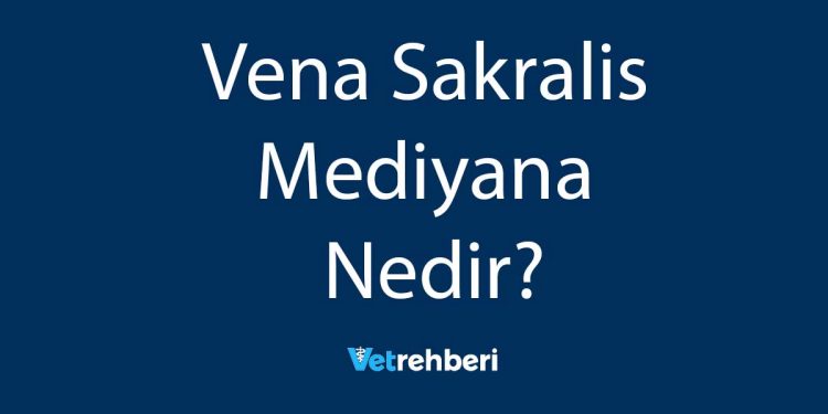 Vena Sakralis Mediyana Nedir?