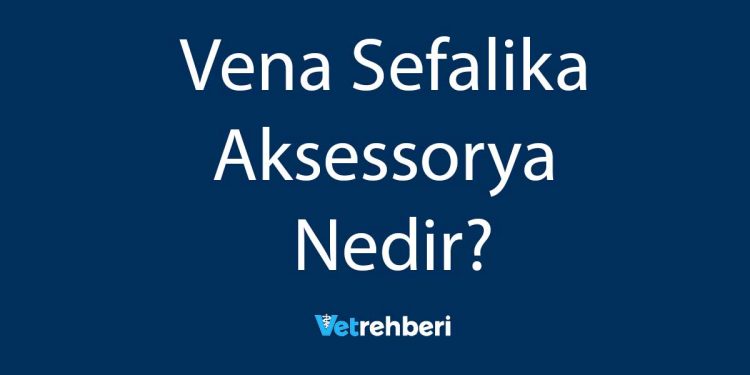 Vena Sefalika Aksessorya Nedir?