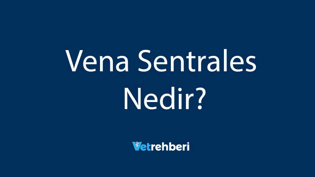 Vena Sentrales Nedir?