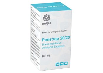 Penstrep 20/20