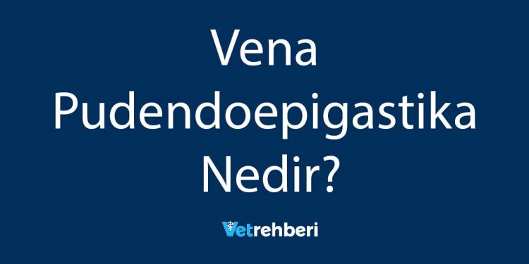 Vena Pudendoepigastika Nedir?