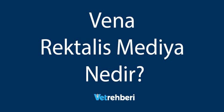 Vena Rektalis Mediya Nedir?