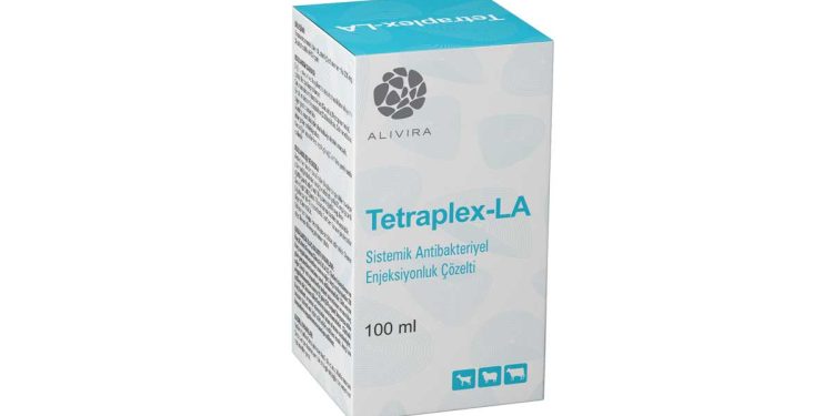 Tetraplex-LA