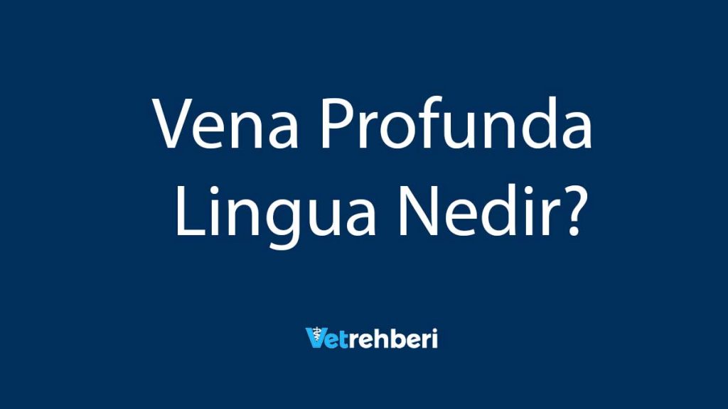 Vena Profunda Lingua Nedir?