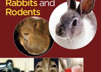 Tavşanlarda ve Kemirgenlerde Diş Hekimliği