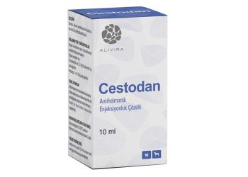 Cestodan