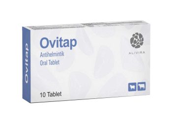 Ovitap