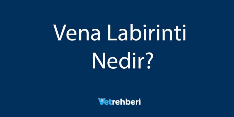 Vena Labirinti Nedir?