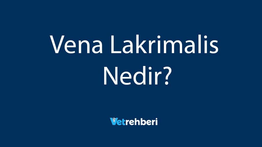 Vena Lakrimalis Nedir?