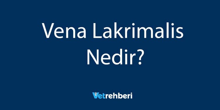 Vena Lakrimalis Nedir?