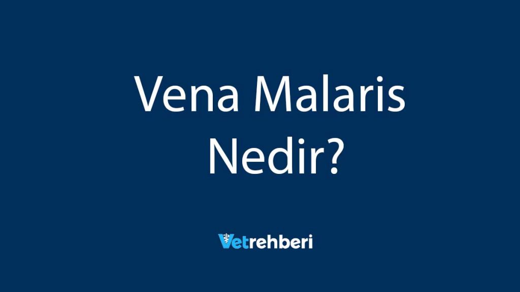 Vena Malaris Nedir?