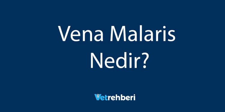 Vena Malaris Nedir?