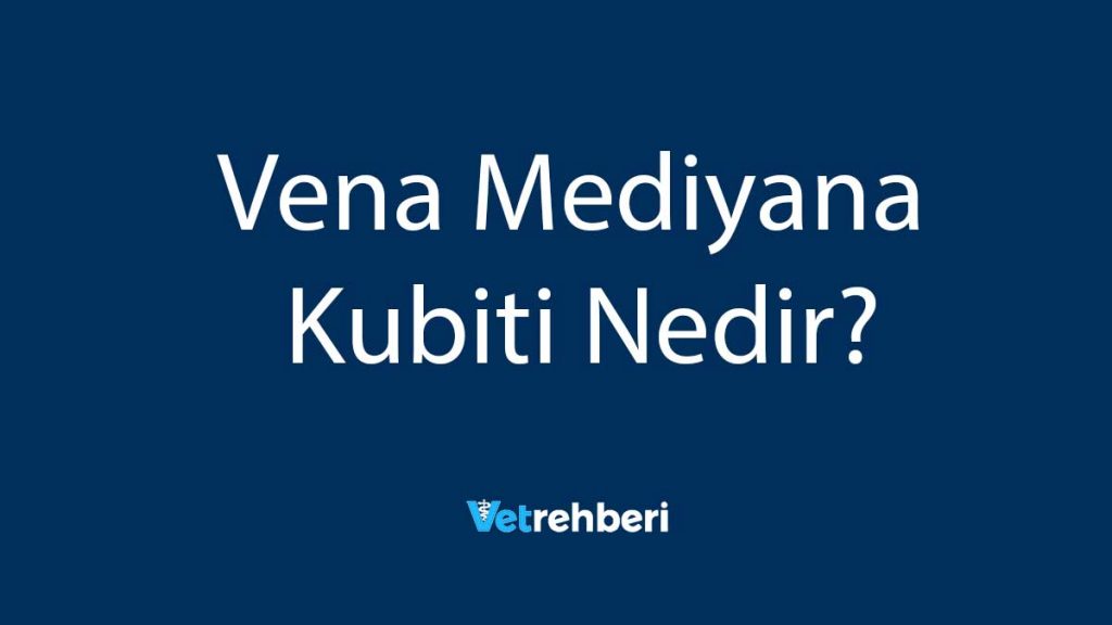 Vena Mediyana Kubiti Nedir?