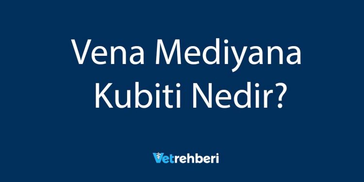 Vena Mediyana Kubiti Nedir?