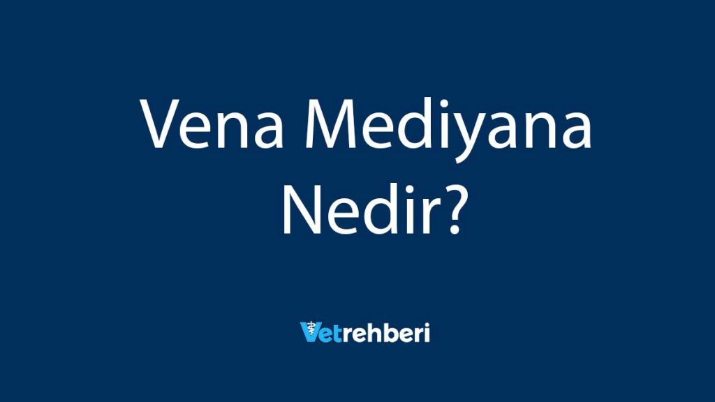 Vena Mediyana Nedir?