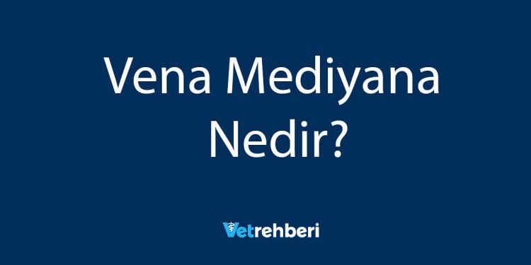 Vena Mediyana Nedir?