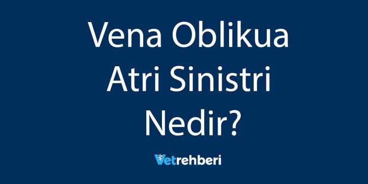 Vena Oblikua Atri Sinistri Nedir?