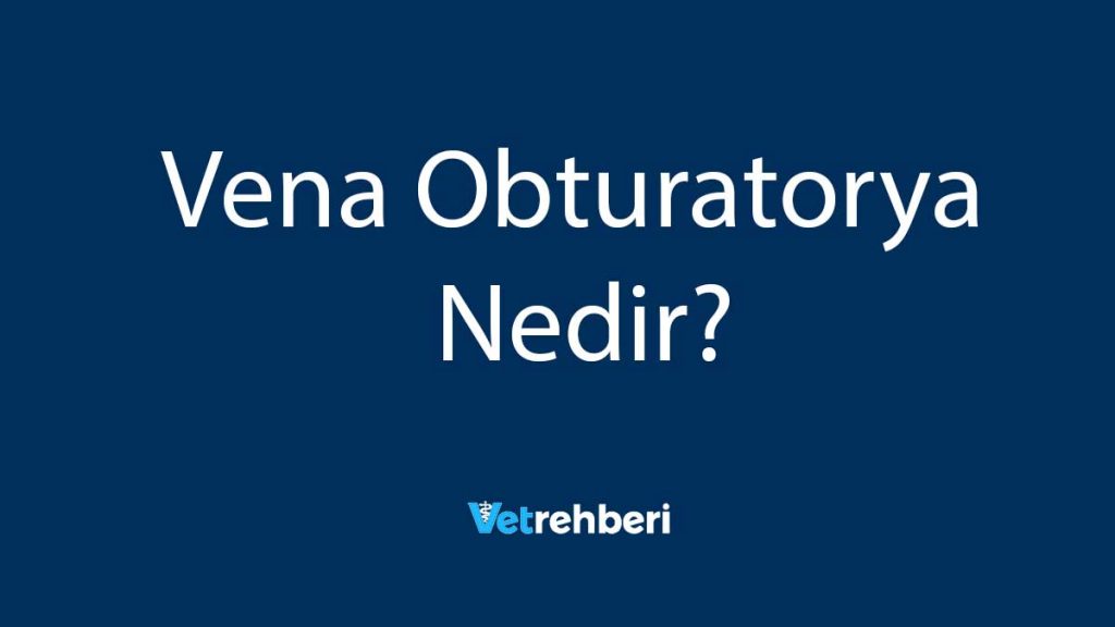 Vena Obturatorya Nedir?