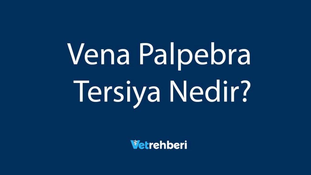 Vena Palpebra Tersiya Nedir?