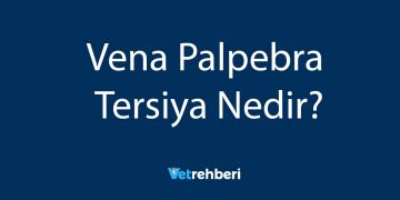 Vena Palpebra Tersiya Nedir?