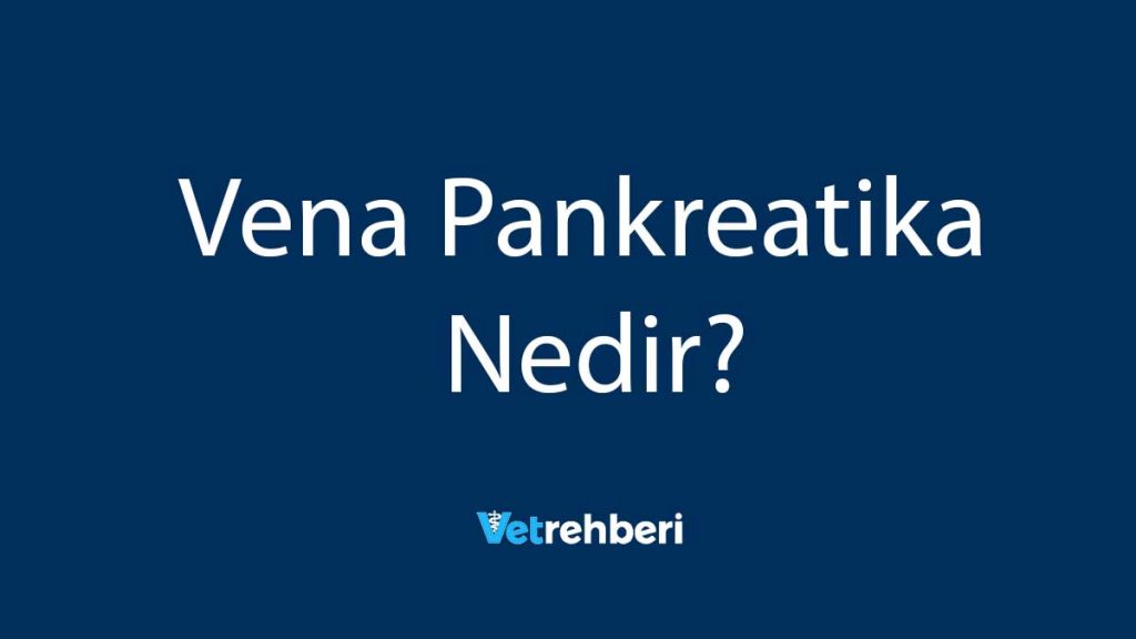 Vena Pankreatika Nedir?