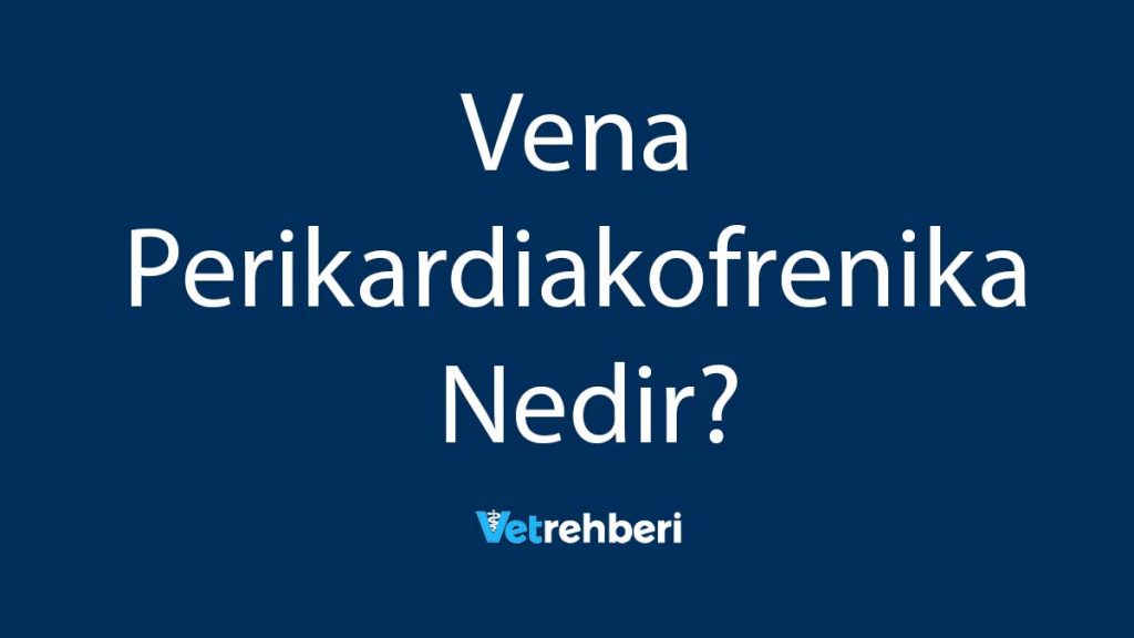 Vena Perikardiakofrenika Nedir?