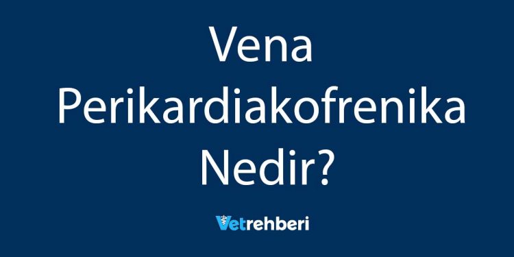 Vena Perikardiakofrenika Nedir?