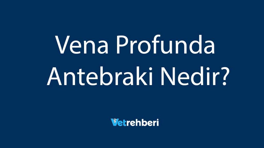 Vena Profunda Antebraki Nedir?