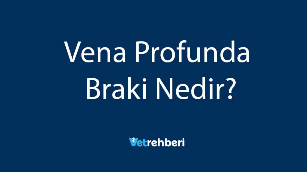 Vena Profunda Braki Nedir?