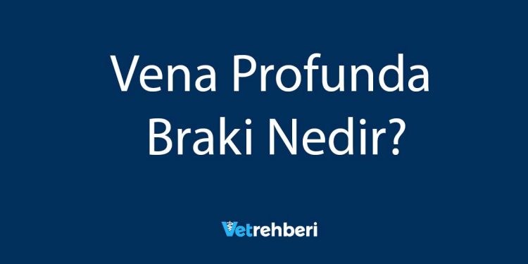 Vena Profunda Braki Nedir?