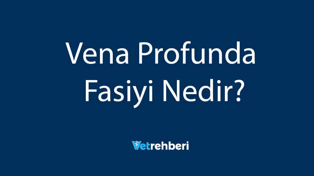 Vena Profunda Fasiyi Nedir?