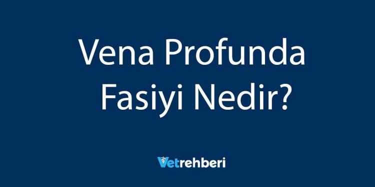 Vena Profunda Fasiyi Nedir?