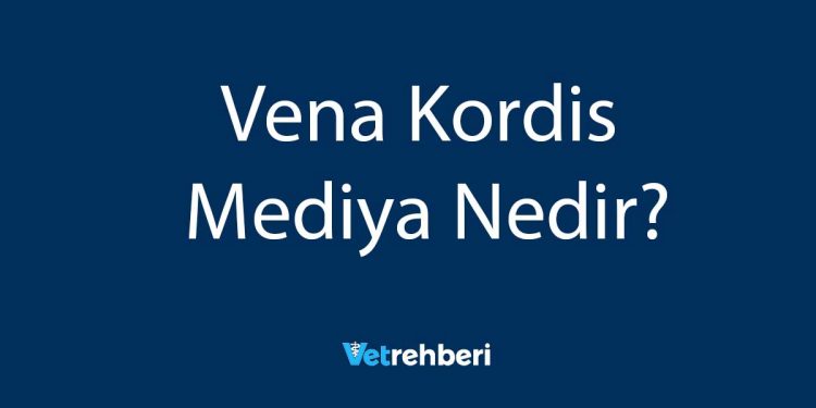 Vena Kordis Mediya Nedir?